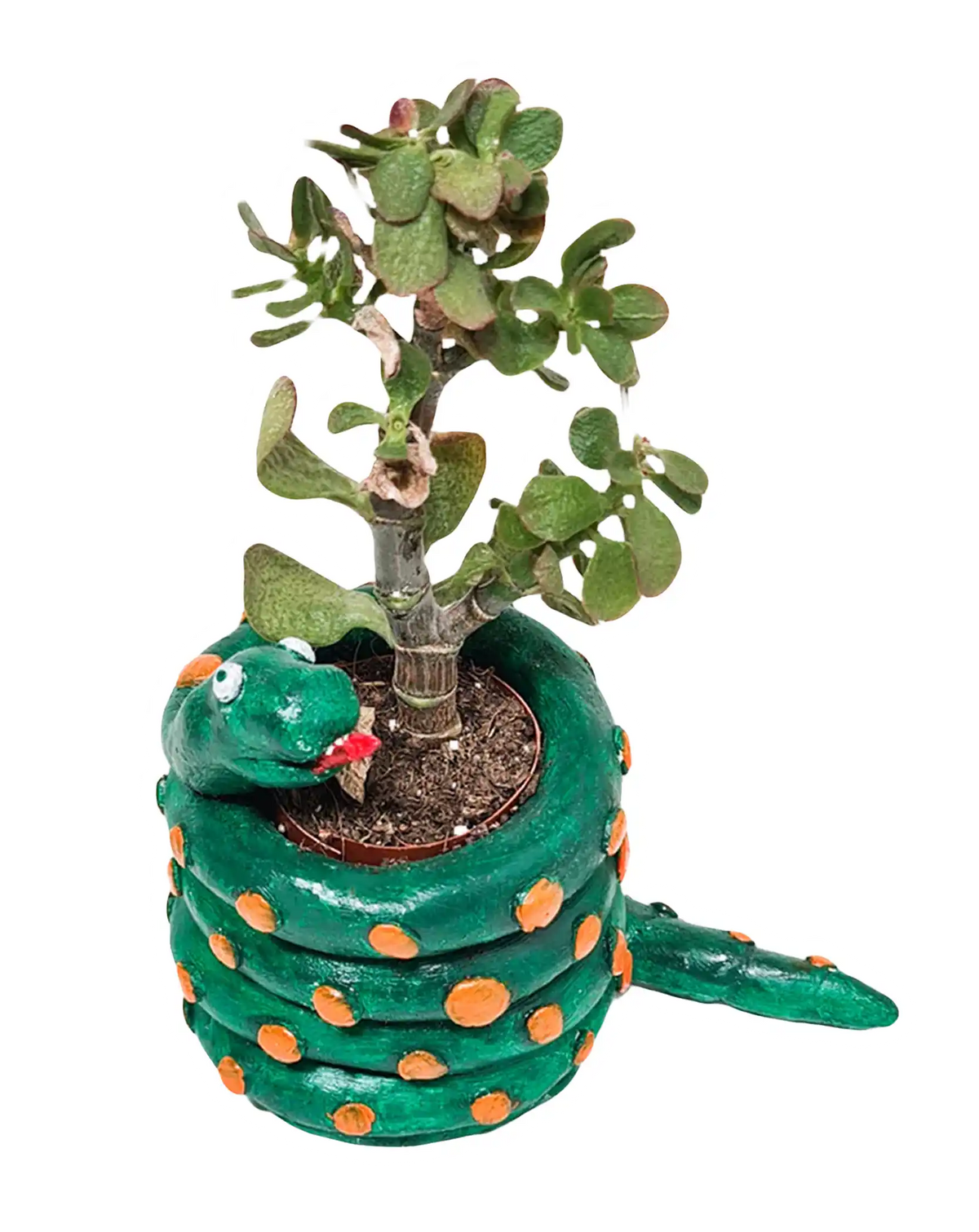 Banner a forma di serpente verde per la lista dei kit per bambini Sculpd EU