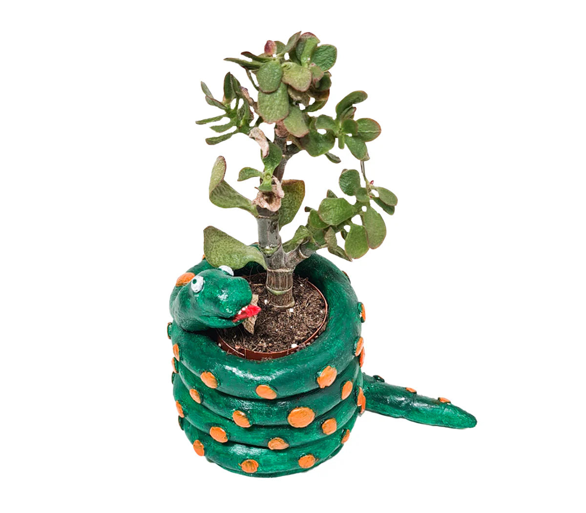 Snake pot with Sculpd kids pottery kit